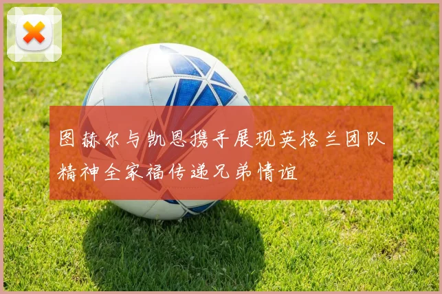 图赫尔与凯恩携手展现英格兰团队精神全家福传递兄弟情谊